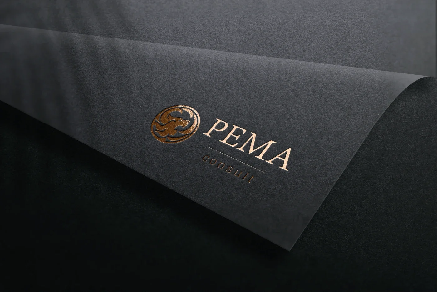 PEMA consult - logo ražené na tmavém papíru