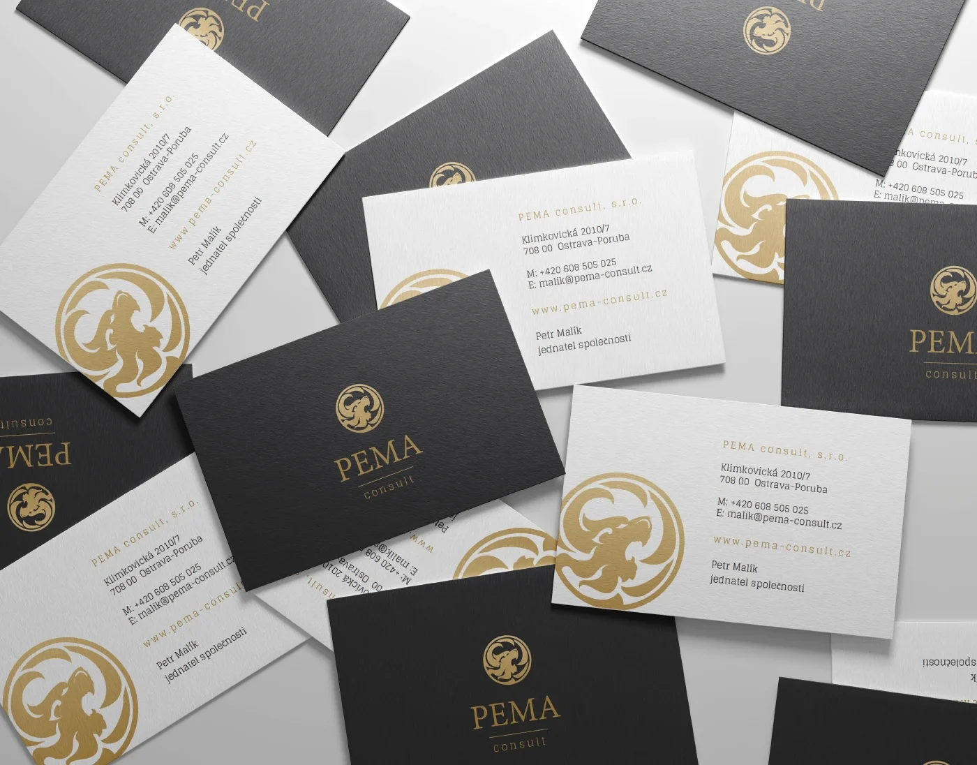 PEMA consult - sada vizitek