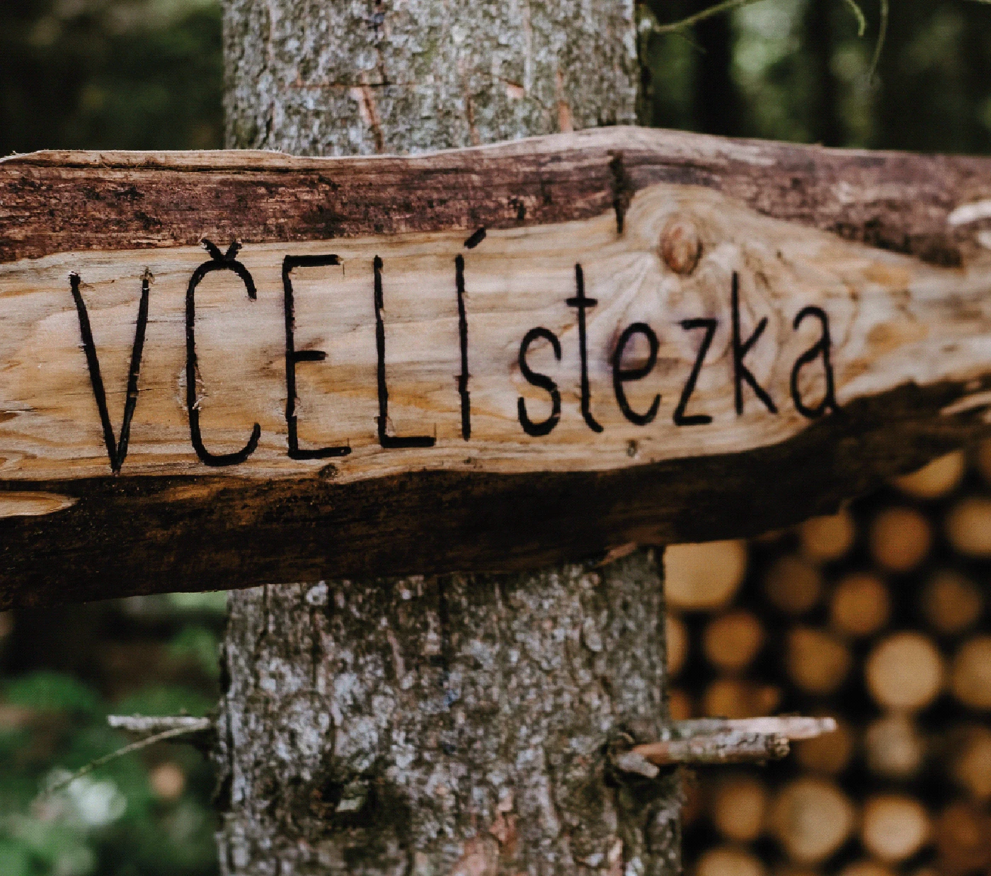 Vaňkův kopec: cedule Včelí stezky